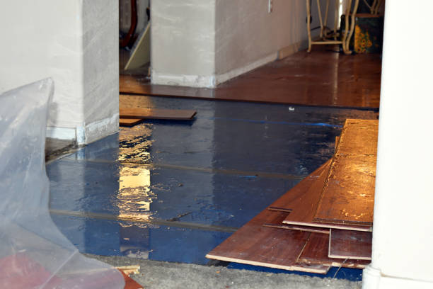 Professional Emergency Water Damage Restoration technician working in New Milford, IL